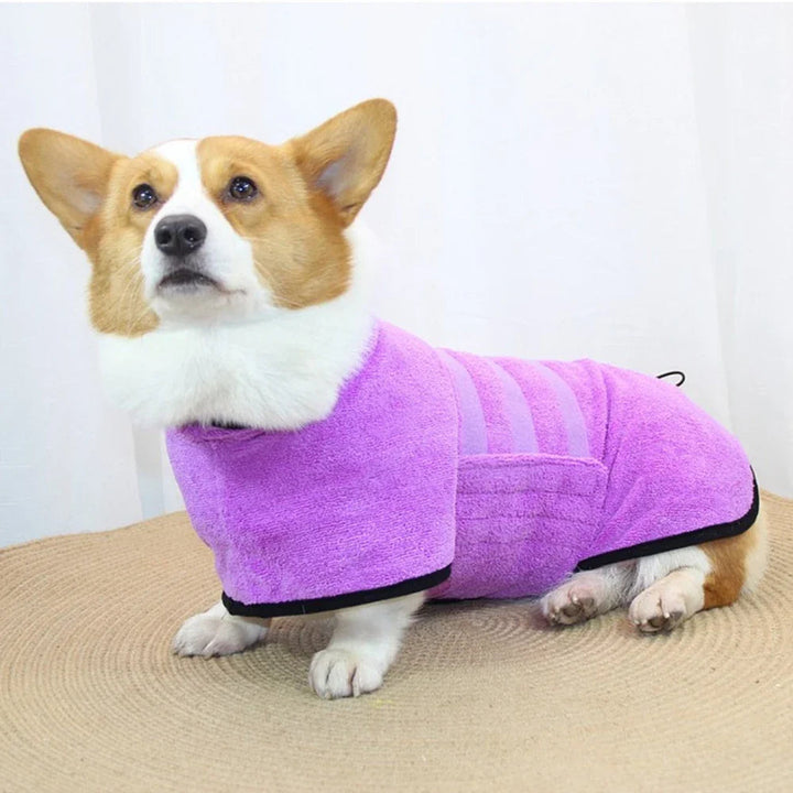 Small cat wearing a blue quick-dry microfiber pet bathrobe, essential pet accessory.