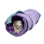 Purple Aubergine