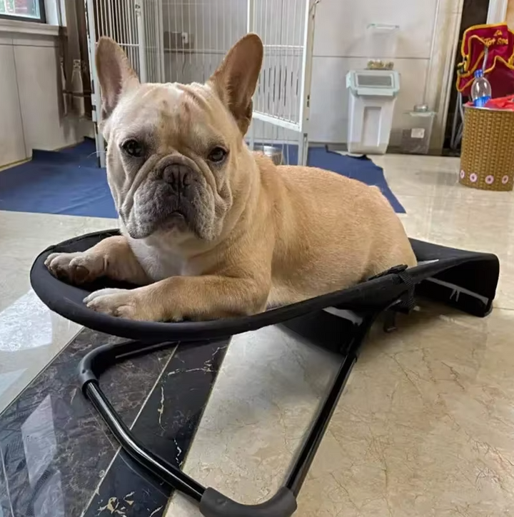 Unisex pet rocking lounger with non-slip frame, plush dog or cat bed for comfort and relaxation