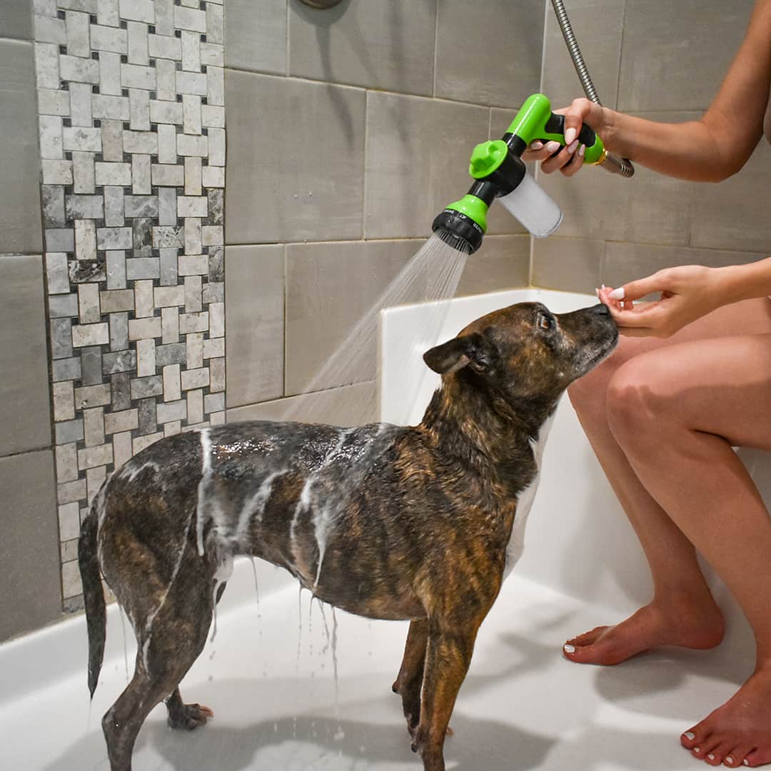 Handheld pet shower with integrated shampoo dispenser for efficient dog bathing