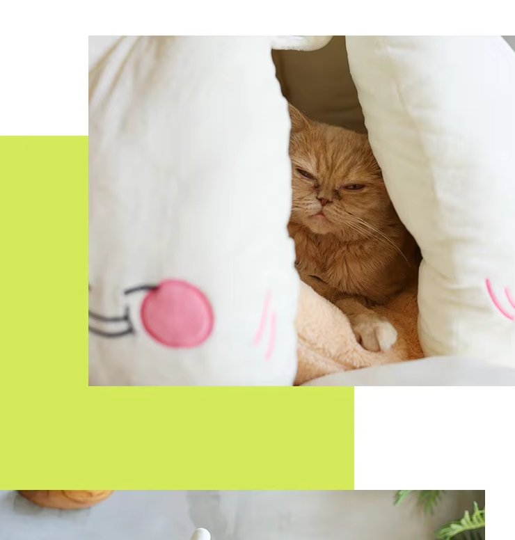 Washable pet bed, garlic design cat cave for ultimate pet comfort and style