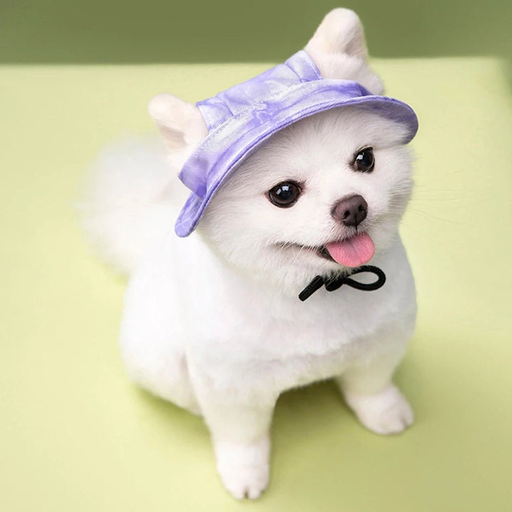 Unisex pet hat for summer, dog or cat, blue stripe, essential for sun protection