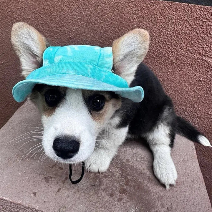 Summer pet accessory: Blue striped sun hat for dog, adjustable fit, outdoor UV shield