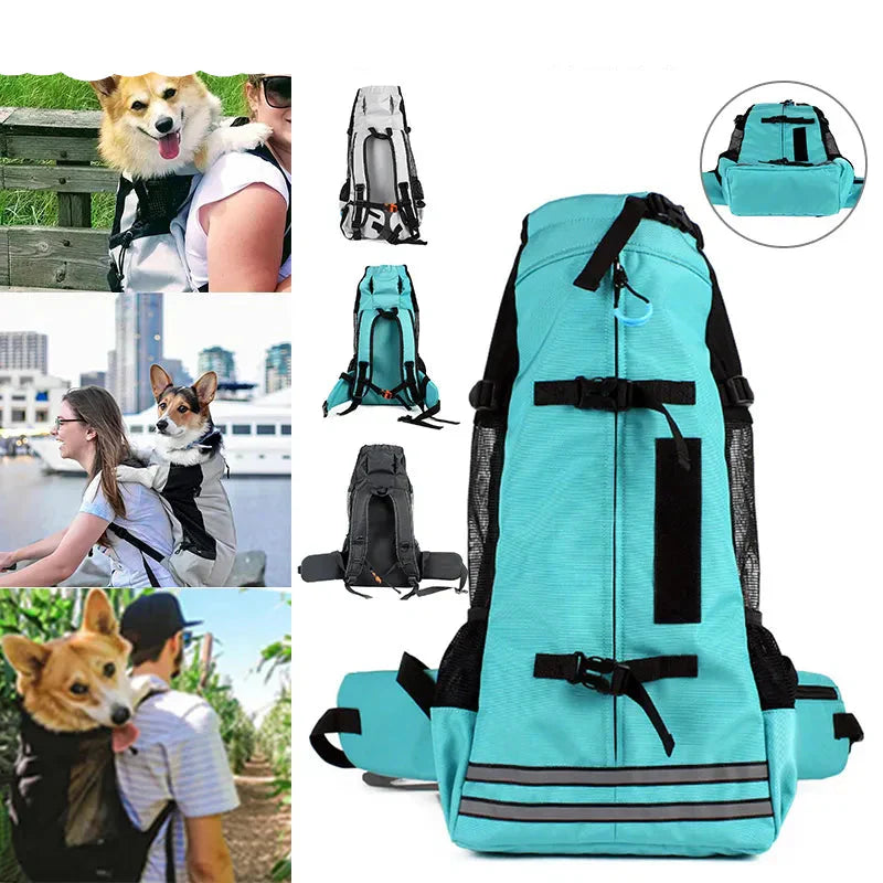 Close-up of pet travel backpack in car seat, showcasing durable fabric & secure restraints for dog/cat travel