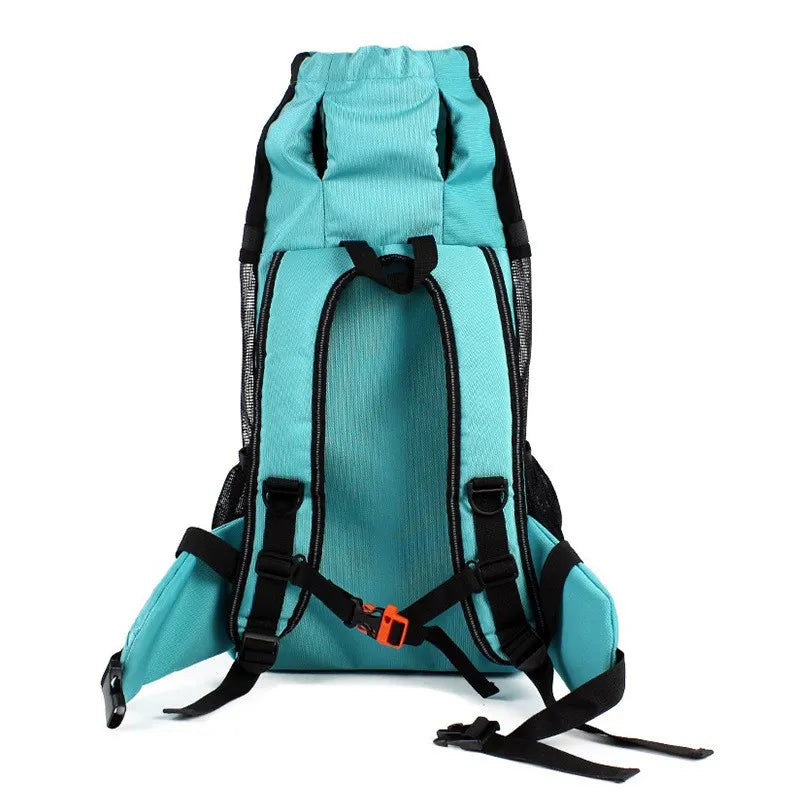 Image of pet travel backpack being secured in car, emphasizing safety and ease of use for pet owners