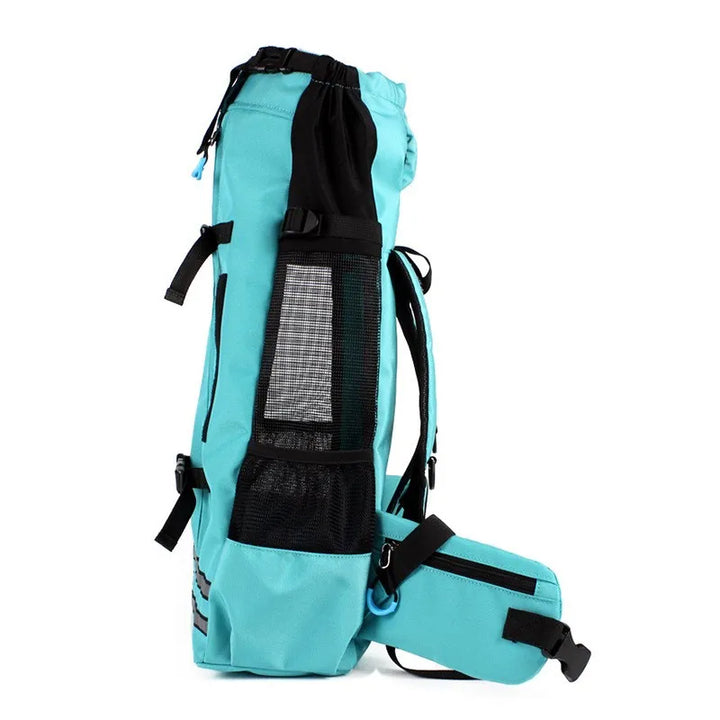 Happy pet owner carrying pet travel backpack, ready for car travel with their dog or cat, outdoor pet ready