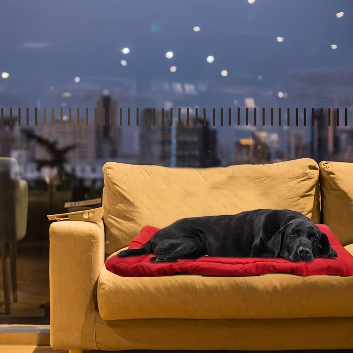 Soft dog travel bed with elevated sides, perfect for car journeys and as a sofa cushion, durable