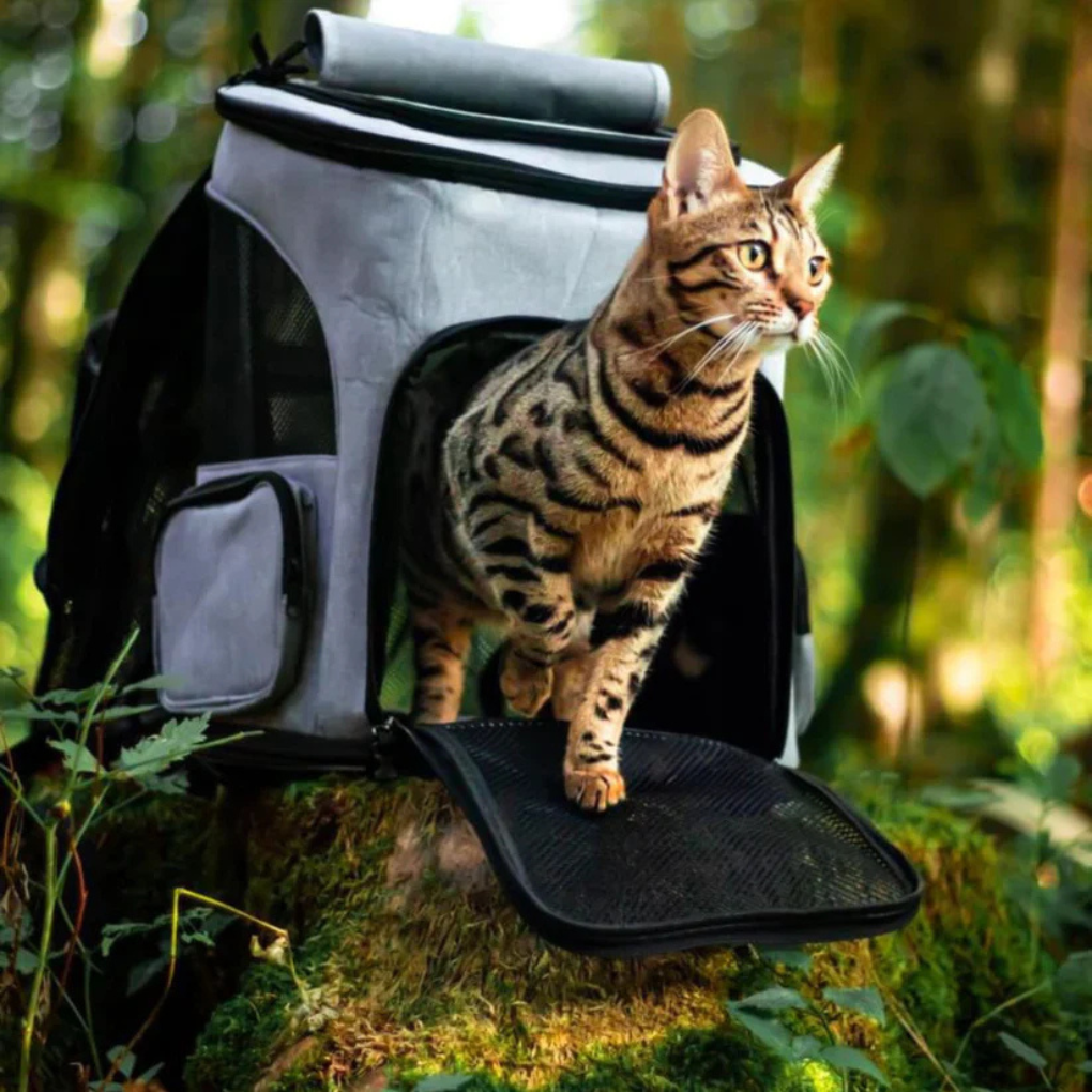 Unisex pet travel carrier backpack for cats and small dogs, black with mesh ventilation, front view