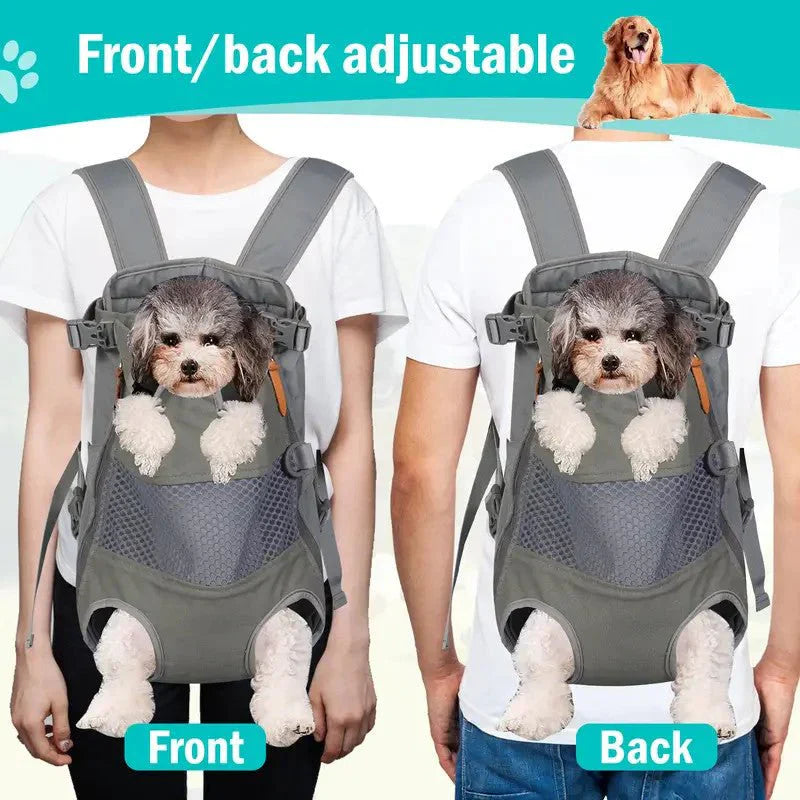 Front view of a black pet carrier backpack with mesh windows for dog or cat travel