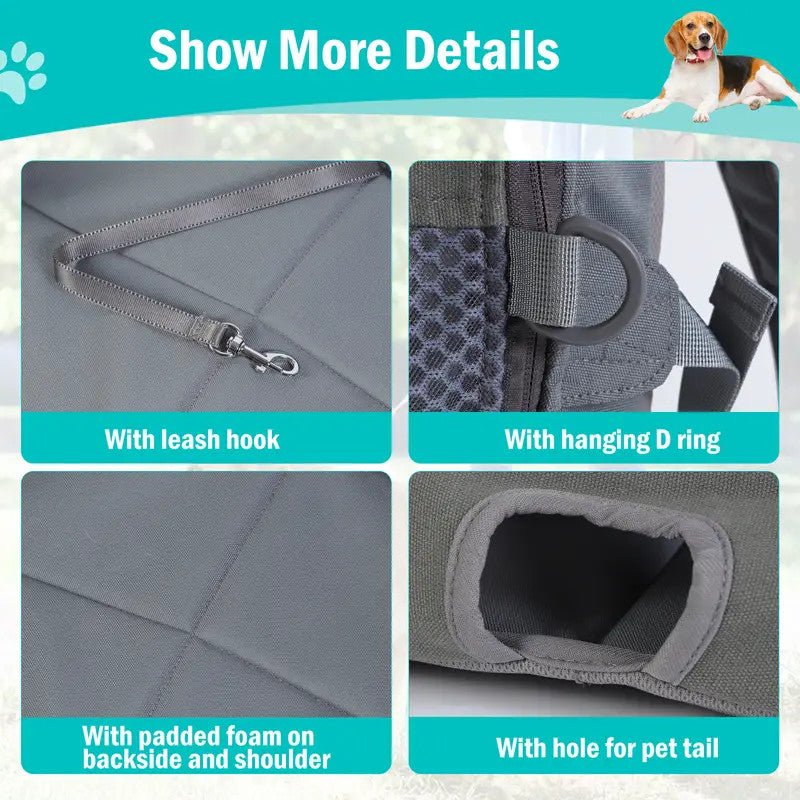 A cat relaxing inside a spacious pet carrier backpack, ideal for hands-free travel