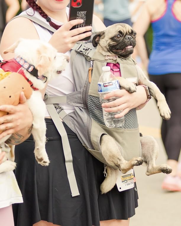 Empty pet travel carrier backpack, highlighting its collapsible design and storage pockets