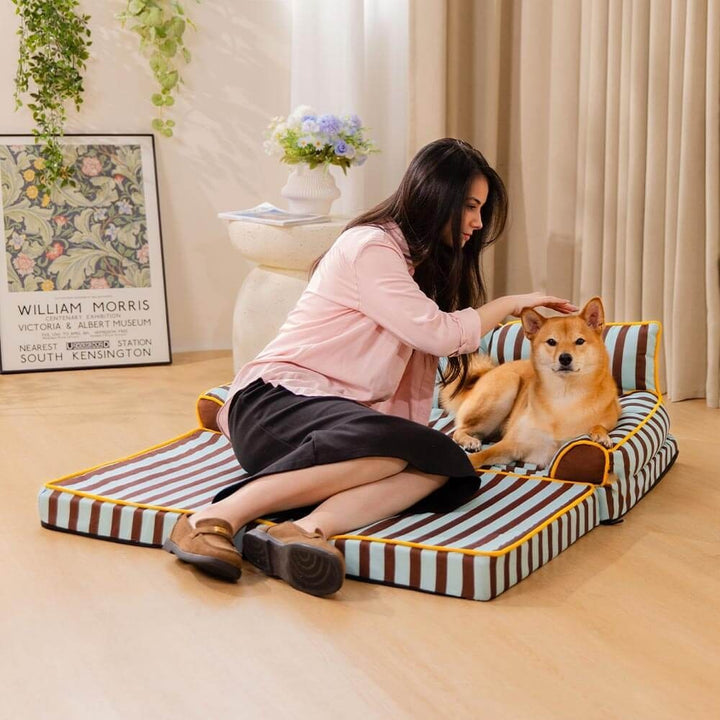 Striped dog bed, water-repellent pet sofa for joint support. Easy to clean pet furniture.