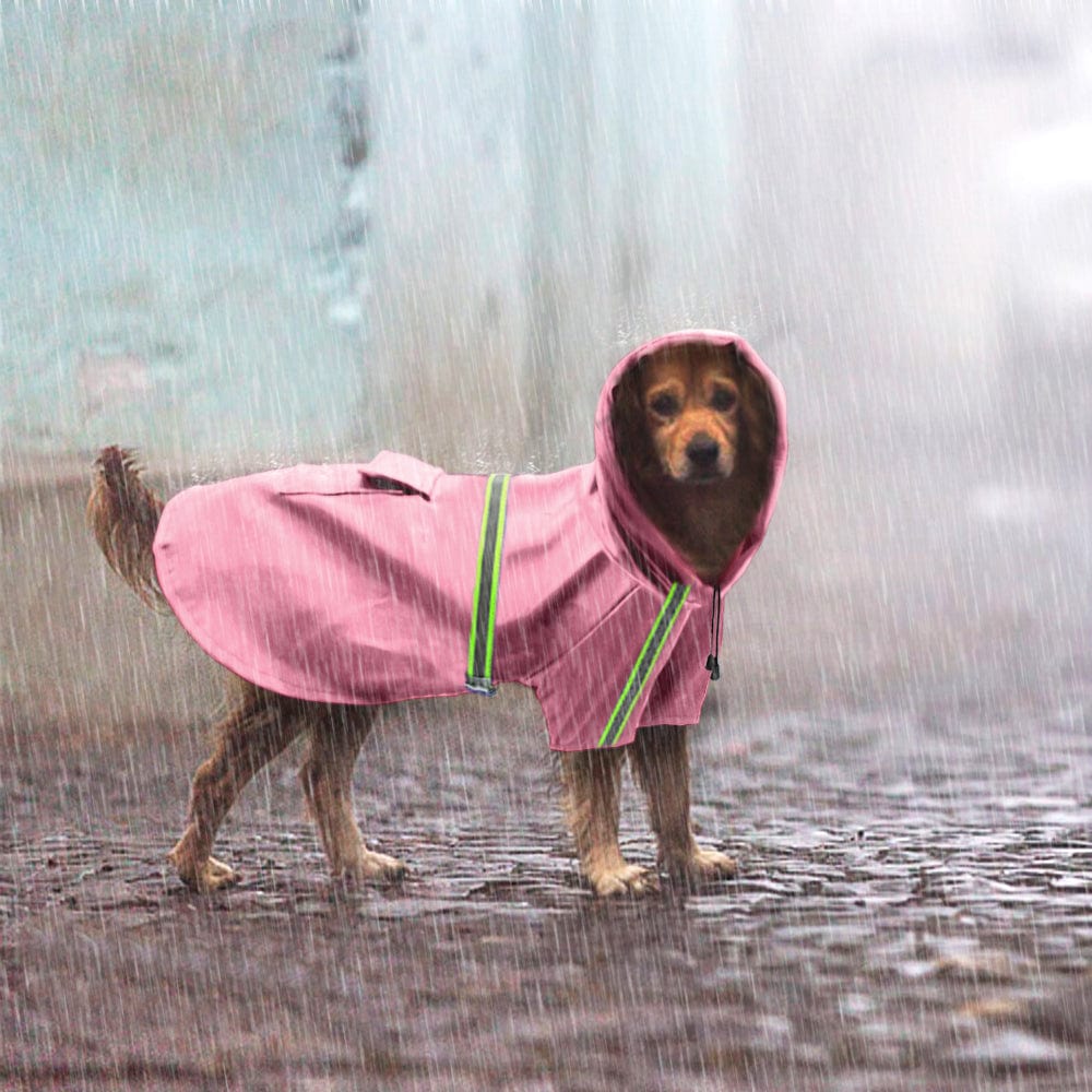 Close-up of waterproof dog raincoat, highlighting adjustable straps and lightweight fabric