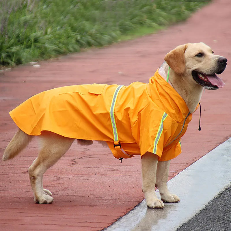 Medium-sized dog in an adjustable lightweight blue dog jacket, perfect for rain protection