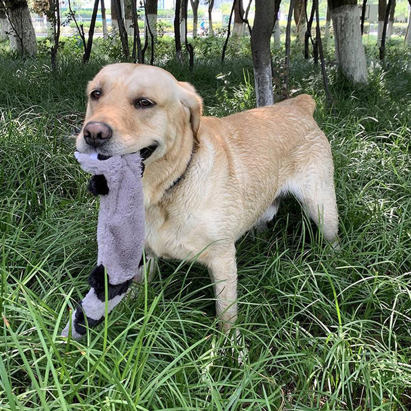 Cute plush animal squeaker dog toy, designed for gentle chewers and pet enrichment