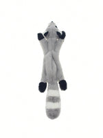 Raccoon
