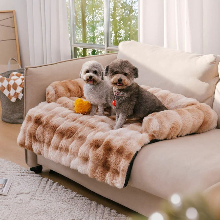 Washable pet sofa bed, neutral gray plush, ideal for cat and dog comfort