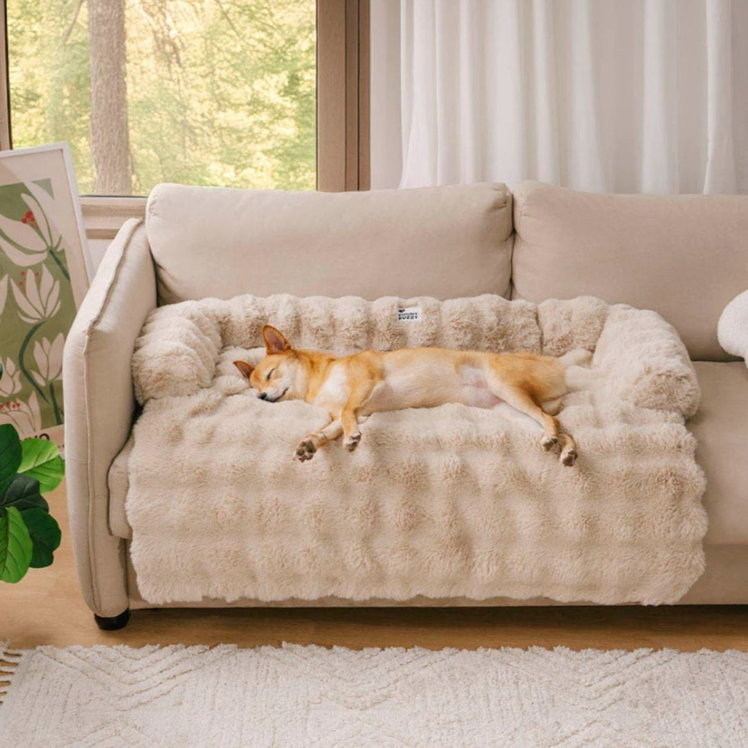 Cozy pet bed in a home setting, plush gray, offering ultimate comfort for pets