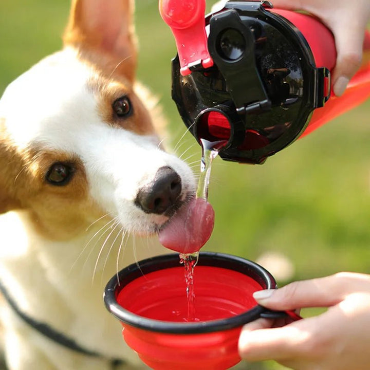 Compact travel dog bowl and water dispenser combo, perfect for hikes and road trips with your pet
