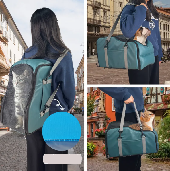 Pet carrier featuring a mesh window for ventilation, suitable for small pets