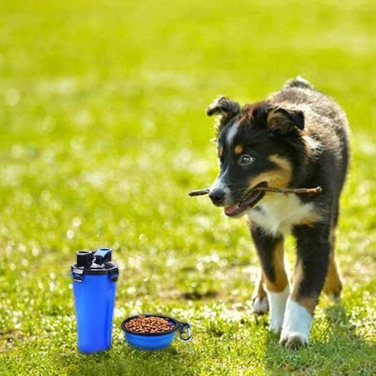 Blue portable pet travel water and food bottle, an essential pet travel accessory