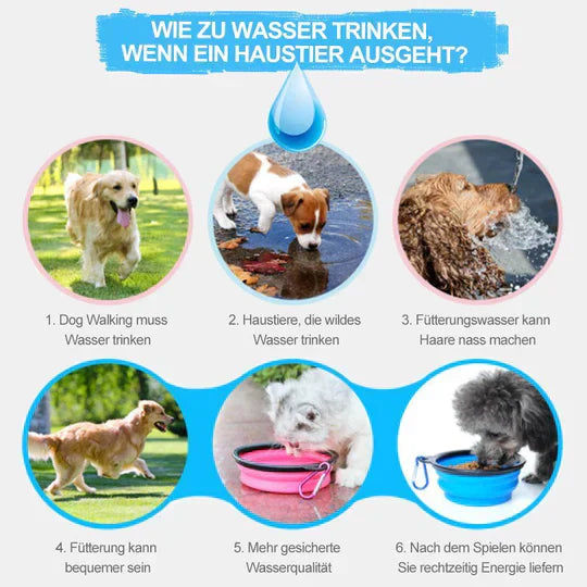 Outdoor pet travel bottle, 2-in-1, for dog water and cat food dispensing