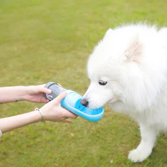 Durable portable pet water bottle, perfect for pet owners seeking reliable travel accessories.