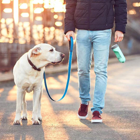 Dog water bottle with secure lock to prevent leaks, ensuring pet health during travel.