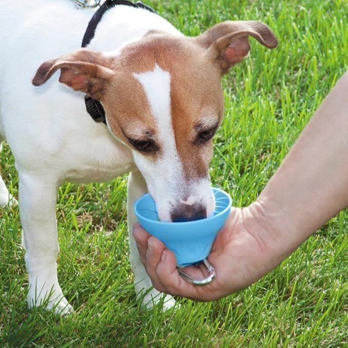Unisex portable pet water bottle with integrated bowl, perfect for dog hydration during travel and outdoor adventures