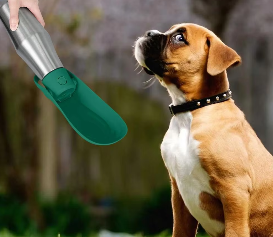 Durable stainless steel dog water bottle featuring a convenient attached bowl for pet hydration.