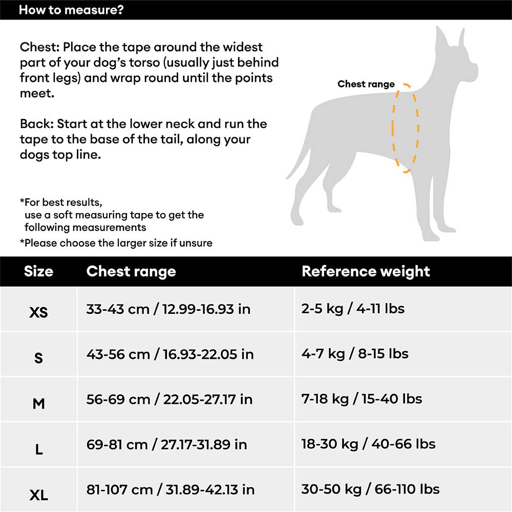 Pet adventure gear: reflective adjustable dog harness with strong buckles for security.