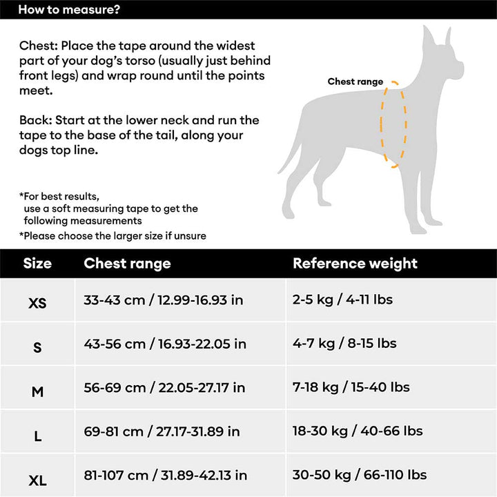 Pet adventure gear: reflective adjustable dog harness with strong buckles for security.