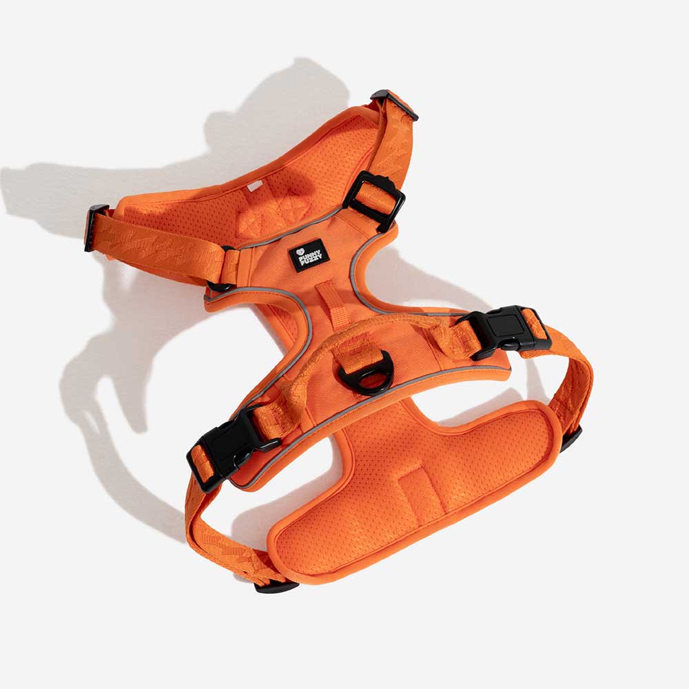 Redesigned reflective adjustable dog harness for improved outdoor pet safety and comfort.