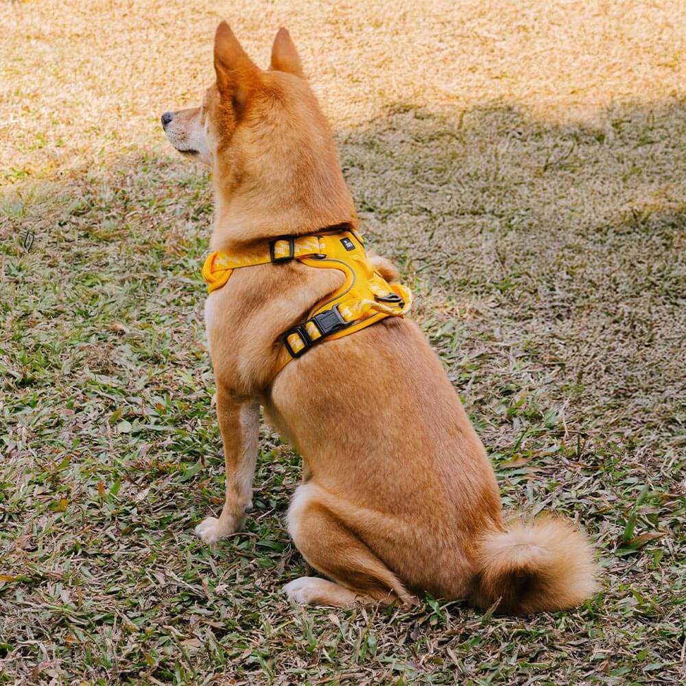 Versatile reflective adjustable dog harness, suitable for training and casual walks.