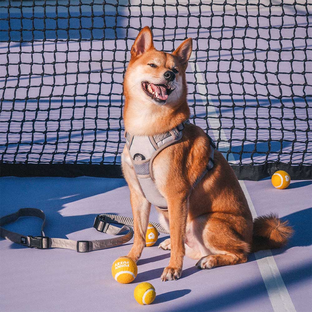 Robust reflective adjustable dog harness, built for durability during outdoor activities.