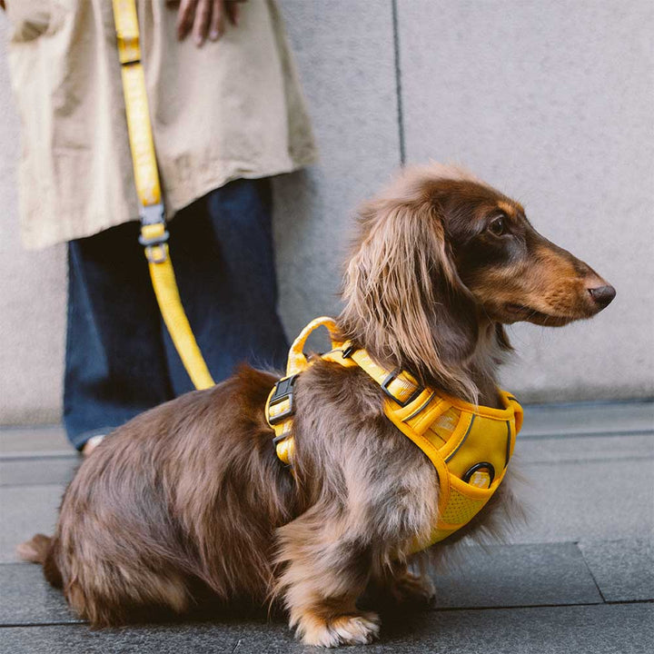 Unisex reflective adjustable dog harness, easy to put on and take off for convenience.