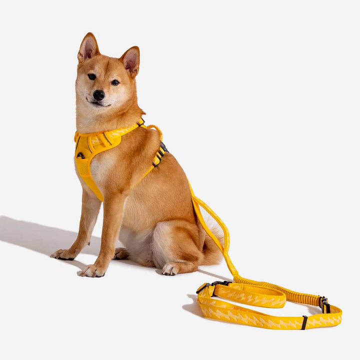 Lightweight reflective adjustable dog harness, perfect for long outdoor adventures.