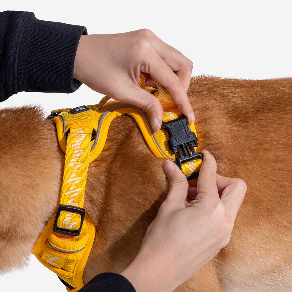 Pet safety harness: reflective adjustable design, offering maximum control.
