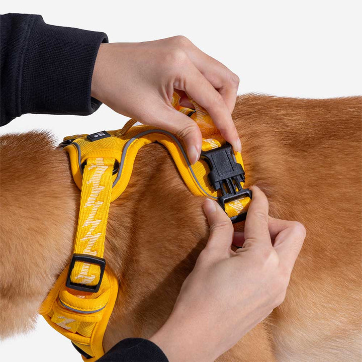 Pet safety harness: reflective adjustable design, offering maximum control.