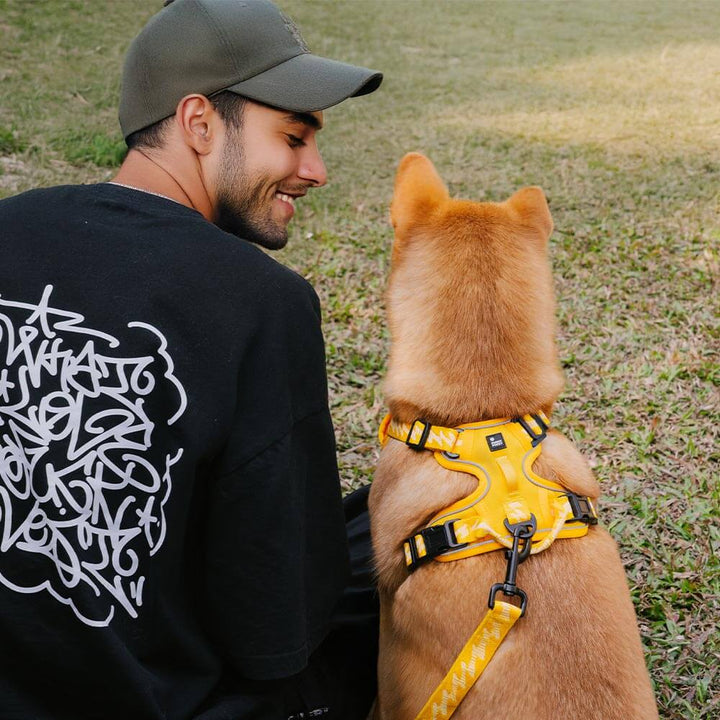 Pet supplies: bright reflective adjustable outdoor dog harness, ensuring visibility at night.