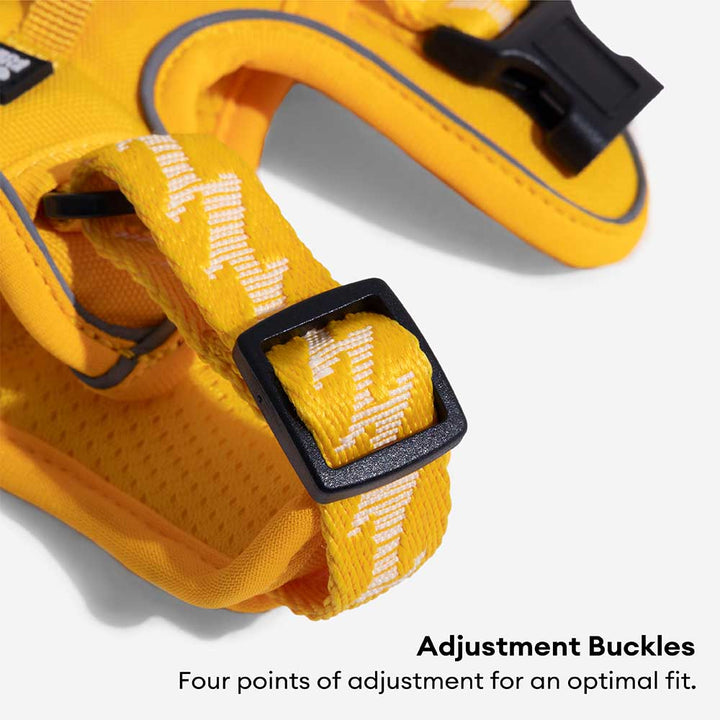 Adjustable reflective dog harness, ultimate outdoor walking gear for active pets.