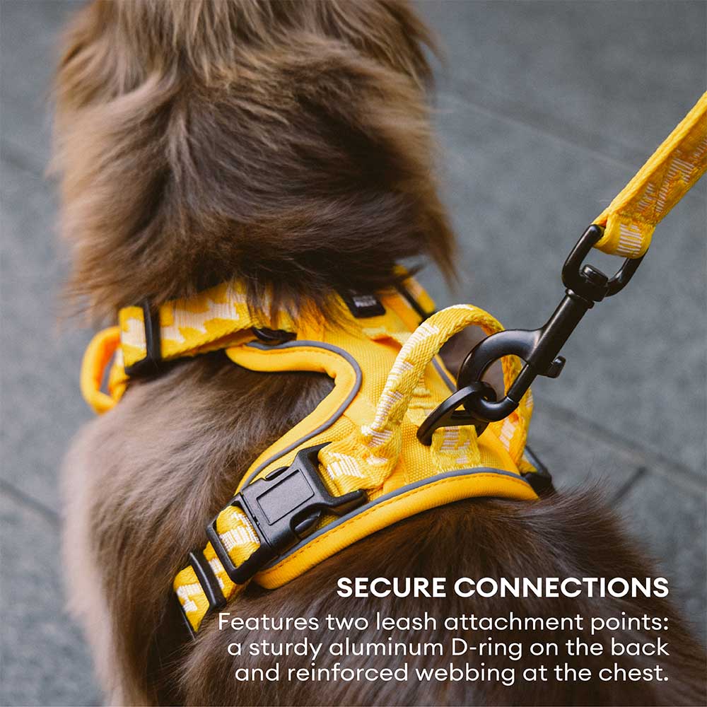 Secure reflective adjustable dog harness, essential pet supplies for night visibility.