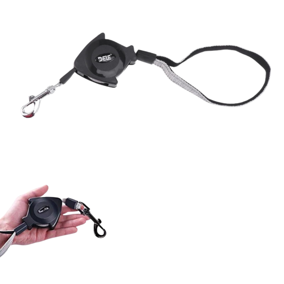 Comfortable ergonomic retractable pet leash, 16ft nylon strap, suitable for dog training and daily walks.