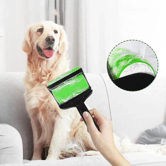 Compact pet hair remover, featuring a lint roller for efficient home cleaning from dog and cat fur.