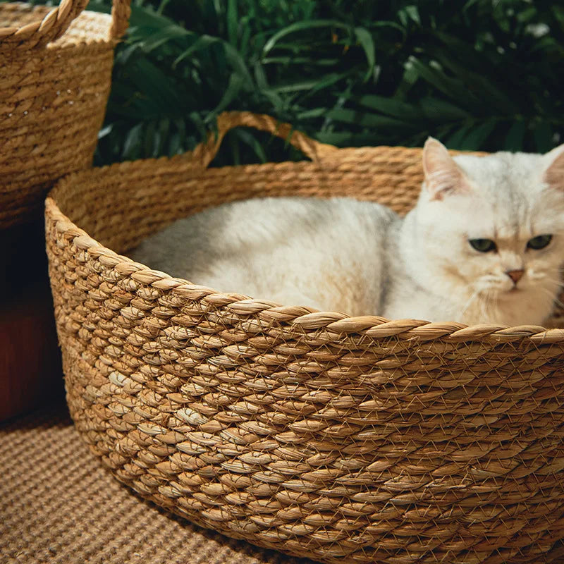 Natural rattan pet bed, unisex, ideal for dog or cat, eco-friendly and durable