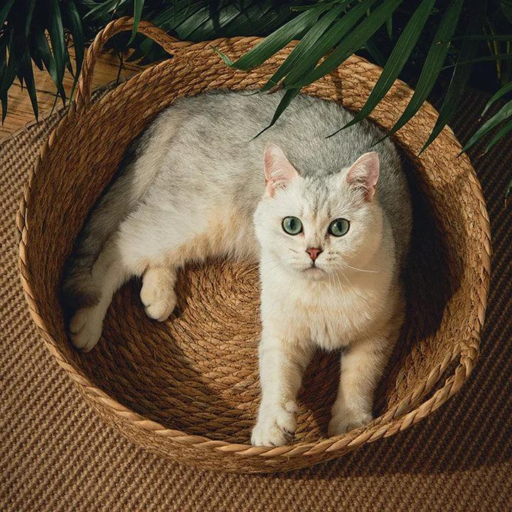 Breathable round pet bed made of rattan and bamboo, perfect for summer comfort