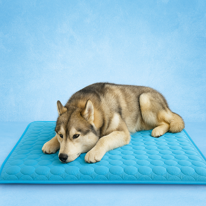 Unisex self-cooling pet mat for dogs and cats, blue, size large, for summer comfort and cooling.