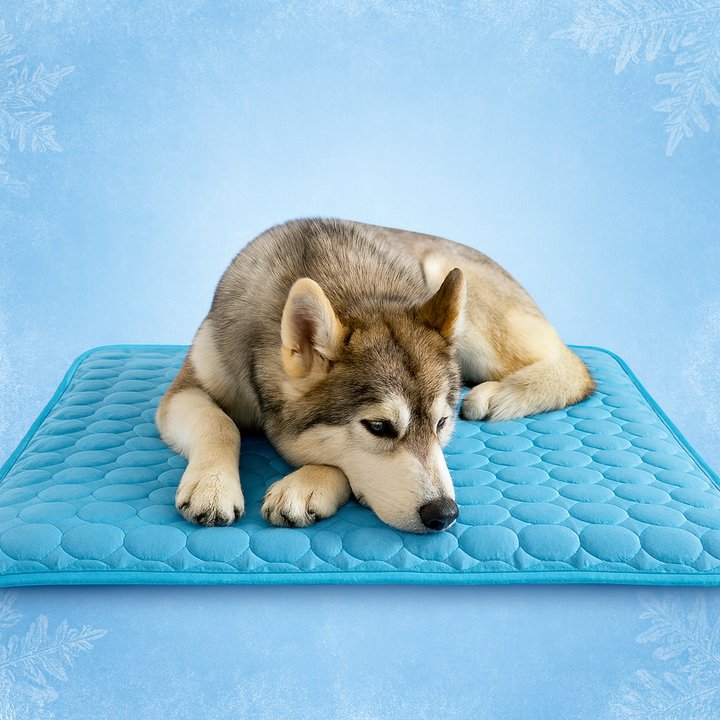 Durable, portable pet cooling mat for dogs, cats, made with scratch-resistant fabric, in a home setting.