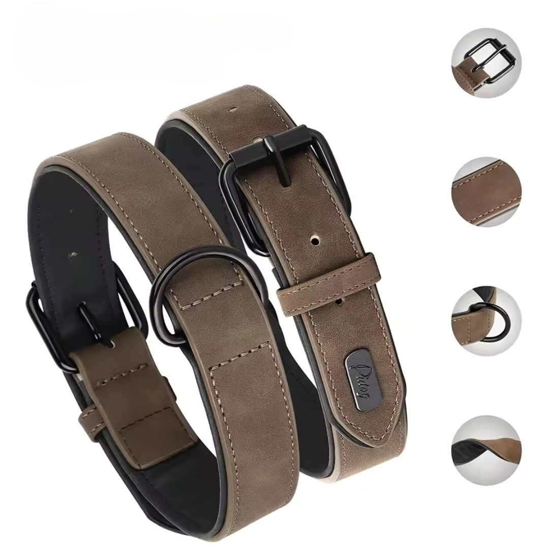 Close-up of a padded PU leather dog collar, showing durable stitching and quality metal buckle.