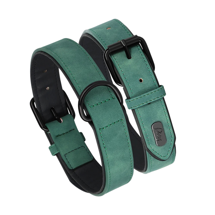 Stylish red padded PU leather dog collar, a comfortable and durable pet accessory for daily walks.